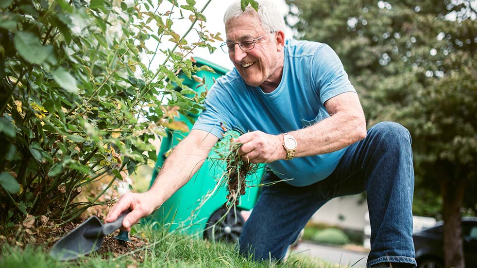 August bank holiday gardening tips man weeding
